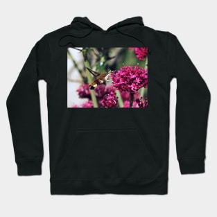 THE PANASONIC FZ  200 PAR OKAIO CREATION Hoodie